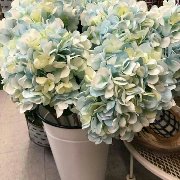 Meet your Posher, Kimberly - Picture 1 of 1